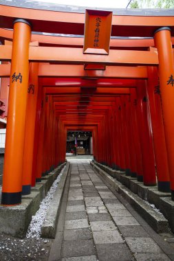 Fushimi Inari Tapınağı (Fushimi Inari Taisha) Kyoto, Japonya 