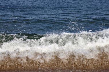 Sahildeki deniz dalgaları