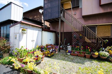 Konut binasının dışındaki saksılarda renkli çiçekler