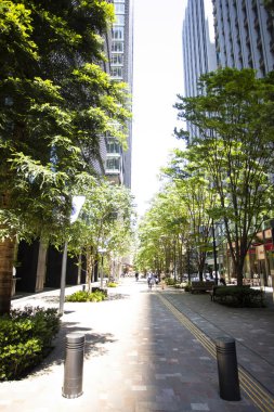 Güneşli bir günde gökdelenlerin ve yeşil ağaçların manzarası 