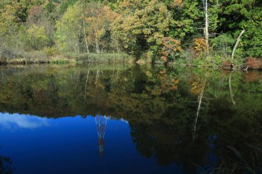 su sonbahar yansıma
