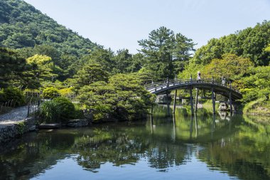 Parktaki güzel Japon manzarası 