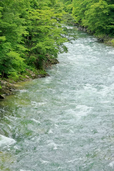 山の輝く川の美しい景色 — ストック写真