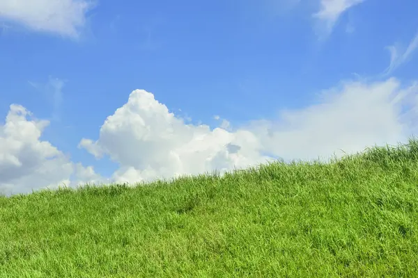 Campo Verde Nuvens Azuis — Fotografia de Stock