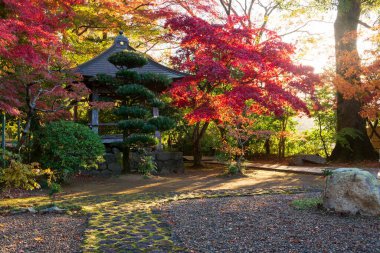 Japon bahçesi, sonbahar manzarası.