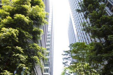 Japonya 'daki modern yüksek binalar