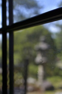 Bulanık ağaç ve beyaz arkaplan ile pencerenin dikey görüntüsü.