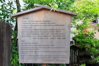 Antik Asya 'nın tarihini yansıtan zarif bir tapınak. Teselli ve yaratıcı ilham arayanlar için sakin bir sığınak sağlıyor..