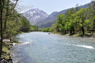 Karla kaplı dağın tepesinin güzel manzarası 