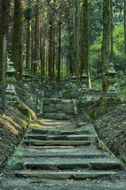 Merdivenleri, heykelleri ve yeşil ağaçları olan Japon bahçesi.