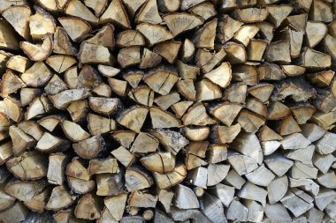 Ormanda yakacak odun yığını