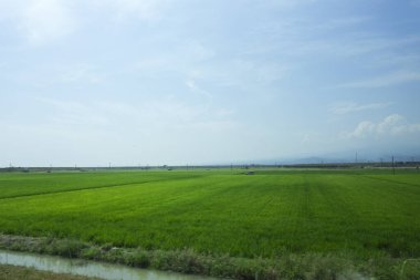 Çeltik tarlası, su basmış, ekili arazi pirinç yetiştirmek için kullanılıyor, ve mavi gökyüzü