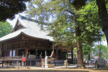 Büyük yeşil ağaçlarla çevrili geleneksel ahşap bina