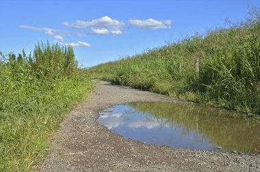 Doğada çimlerin arasında büyük seller var..