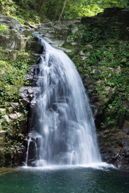 Ormanda, doğa arka planında güzel bir şelale