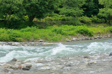 Japonya 'daki nehir dağlarda doğa arka planında.