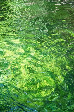 Dağlardaki nehir, su dalgalanması arka plan 