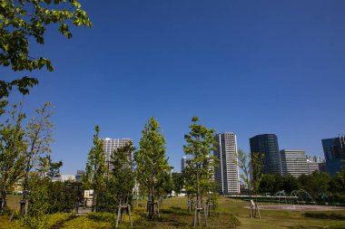 Güneşli bir günde modern şehrin mimarisi