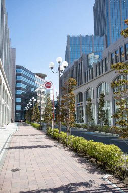 Şehir manzarası arka plan görüntüsü, şehir konsepti 