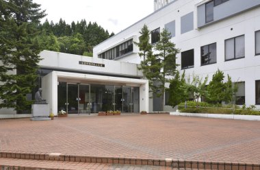 Japon mimarisi ve sokak trafiğinin muhteşem gündüz manzarası, Japonya