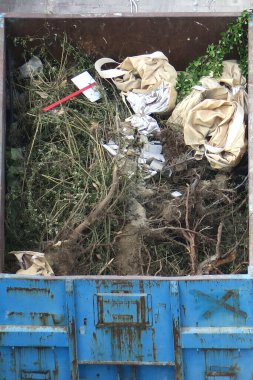 Atılmış dallar ve yapraklar mavi metal çöplüğü dolduruyor.