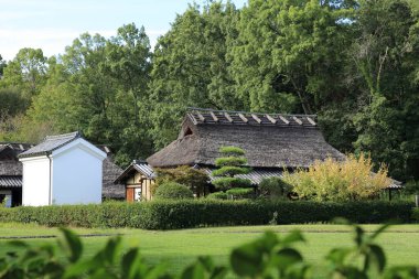 Güzel Japon tapınağı, Budizm konsepti
