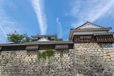 Güzel Japon tapınağı, Budizm konsepti