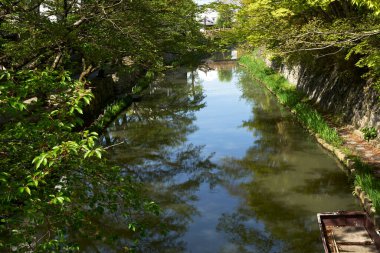 Japonya 'da kanala yansıyan güzel bahar ağaçlarının manzarası 