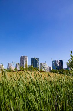 Şehir parkındaki yeşil çimlerin manzarası ve modern mimari güneşli bir günde gökyüzü. 