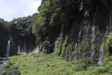 Ormanda güzel bir şelale 
