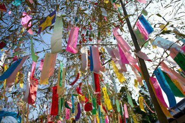 Tanzaku 'ya yazılmış dilekler, küçük kağıt parçaları, ve bir dilek ağacına asılmış.