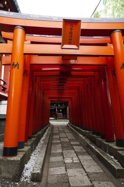 Fushimi Inari Tapınağı (Fushimi Inari Taisha) Kyoto, Japonya 