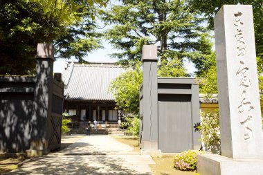 Güzel Japon tapınağı, Budizm konsepti