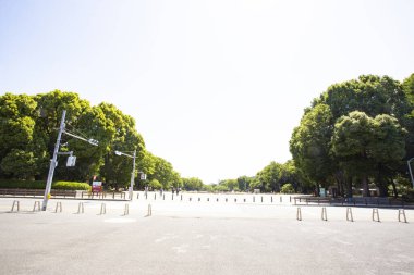 Güneşli bir günde yeşil ağaçlı boş bir meydan 