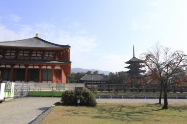 Güzel Japon tapınağı, Budizm konsepti