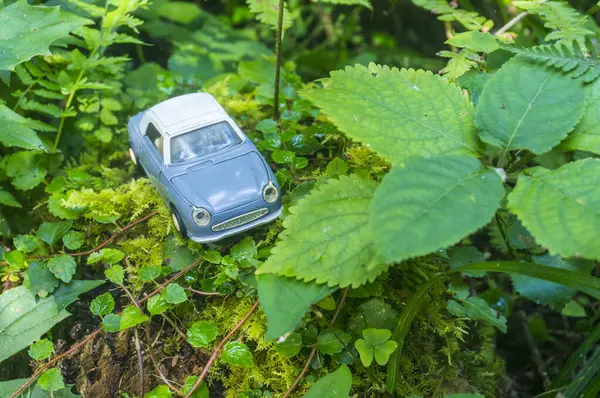 Yaz Ormanında Mavi Oyuncak Araba Modeli — Stok fotoğraf