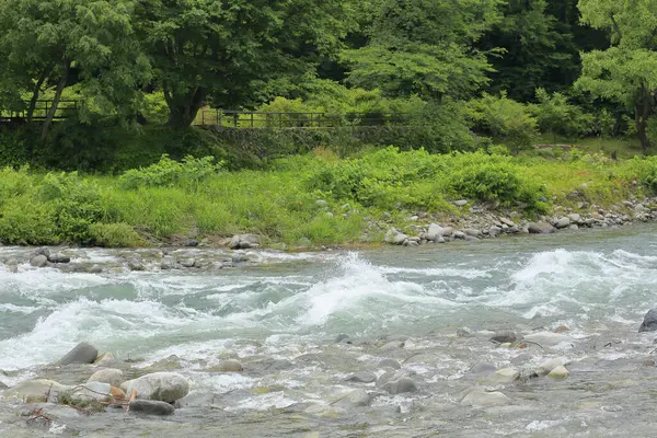 自然を背景にした山の日本川 — ストック写真