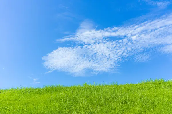green grass and blue sky, sunny landscape