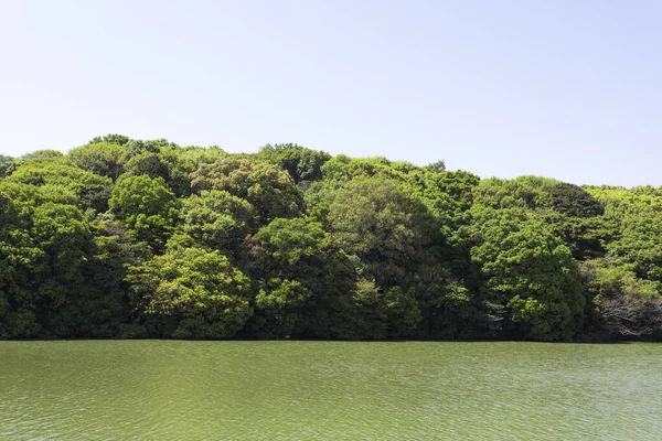 緑豊かな植生で覆われた大きな川と島の景色 — ストック写真