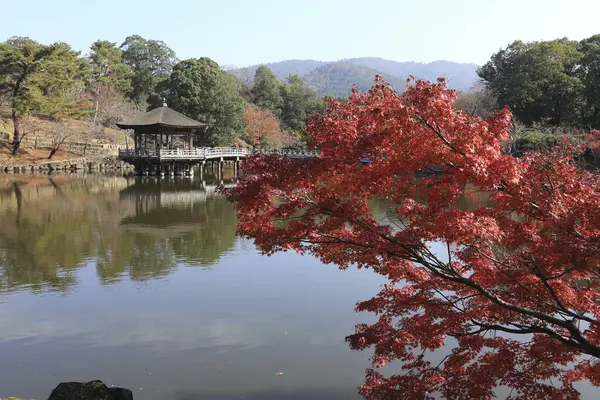 Ukimido 'nun sonbahar manzarası, Japonya' nın Takabatakecho kentindeki Nara Park 'taki Sagiike Gölü üzerinde yüzen altıgen ahşap bir çardak.