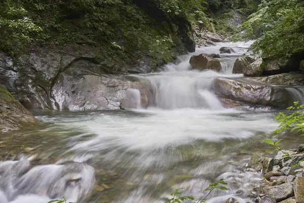 山の川と緑の森の美しい自然のシーン — ストック写真