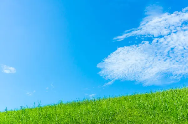 Hierba Verde Cielo Azul Paisaje Soleado —  Fotos de Stock