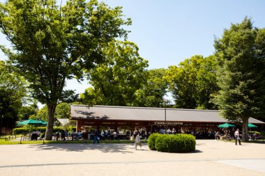 Ueno Park 'taki kafe, Tokyo, Japonya