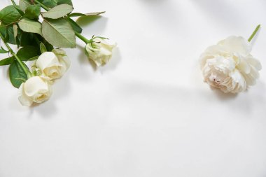 Gri arka planda güzel beyaz ve pembe güller