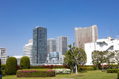 modern şehir mimarisi ve yeşil ağaçlar 