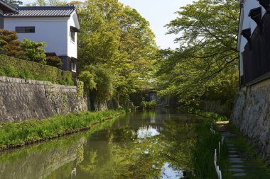 Japonya 'da kanala yansıyan güzel bahar ağaçlarının manzarası 