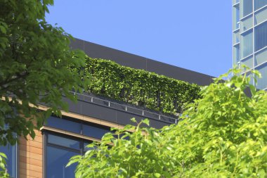 Çağdaş binanın çatısında ağaçlarla çevrili yeşil bitkiler yetişiyor.