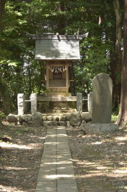 Güzel Japon tapınağı, Budizm konsepti