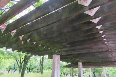 Ağaçlarla çevrili yapının altındaki ahşap kirişlere bakıyorum.