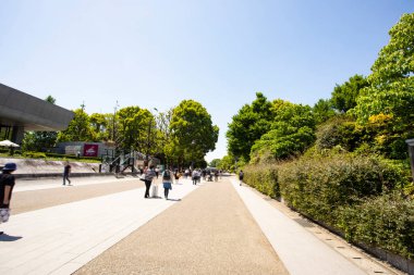 Tokyo, Japonya 'da Ueno Onshi Park' ta güneşli bir gün.